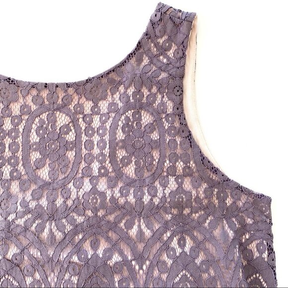 Pinkblush lace midi  dress with crew neck and v-back - Picture 4 of 11